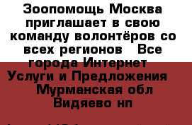 Зоопомощь.Москва приглашает в свою команду волонтёров со всех регионов - Все города Интернет » Услуги и Предложения   . Мурманская обл.,Видяево нп